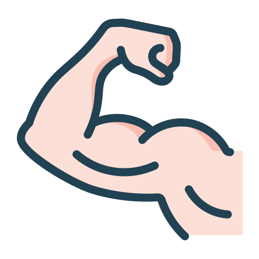 Protein Bars
