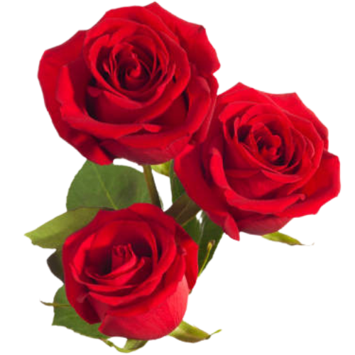 Memorable Gifts